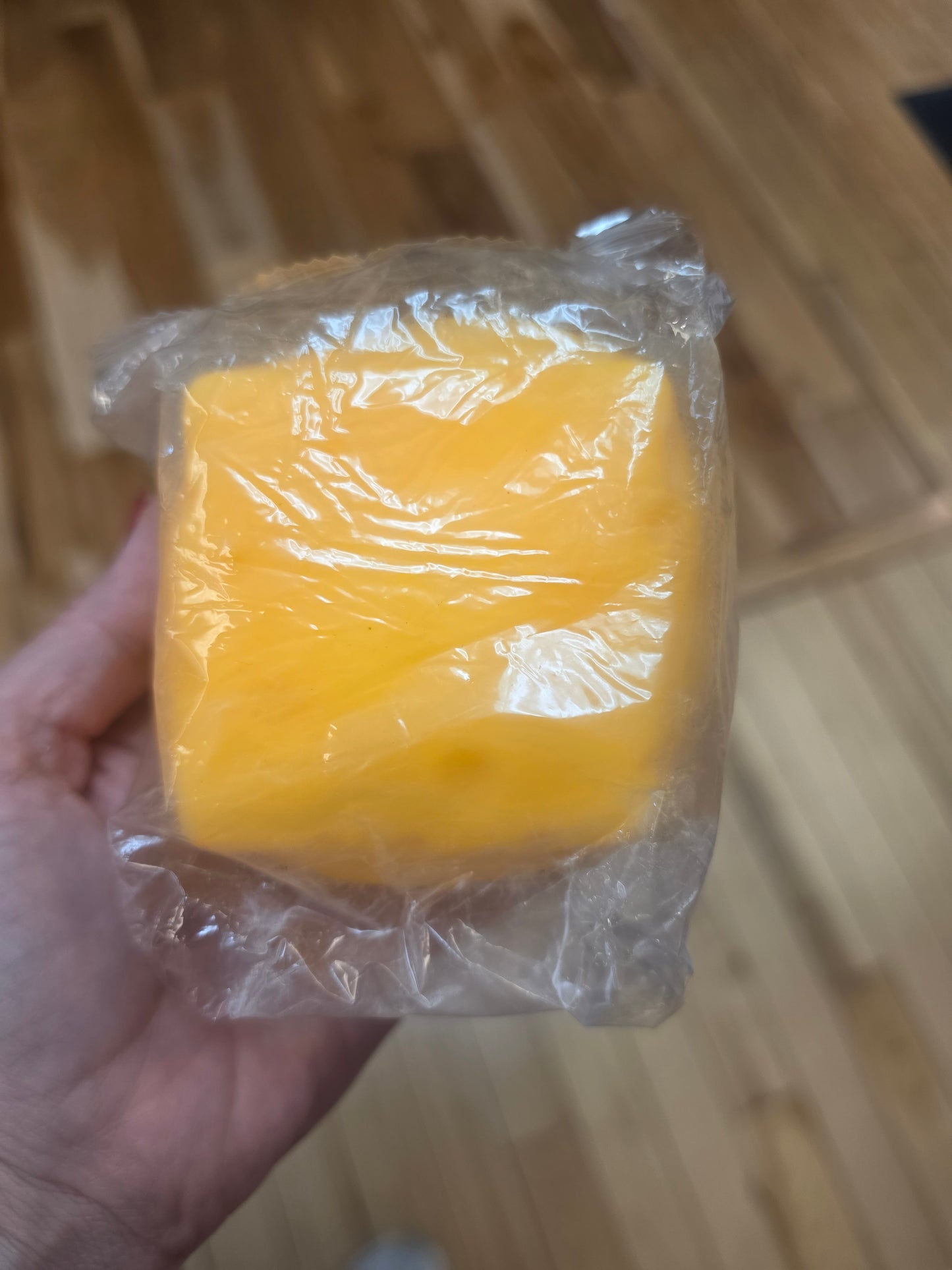 Cheese squishy