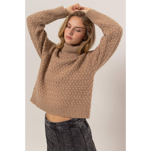 Taupe Turtleneck Sweater