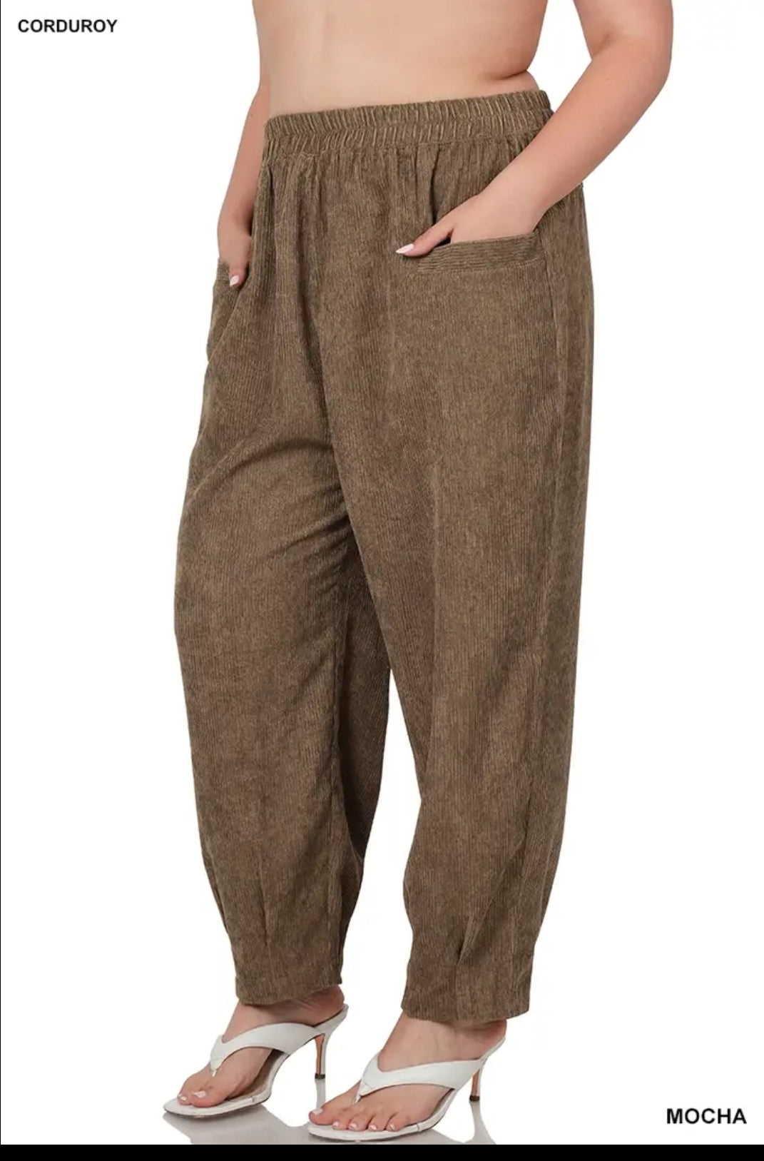 Plus Corduroy Pants